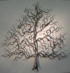 The Wychwood Silver Oak